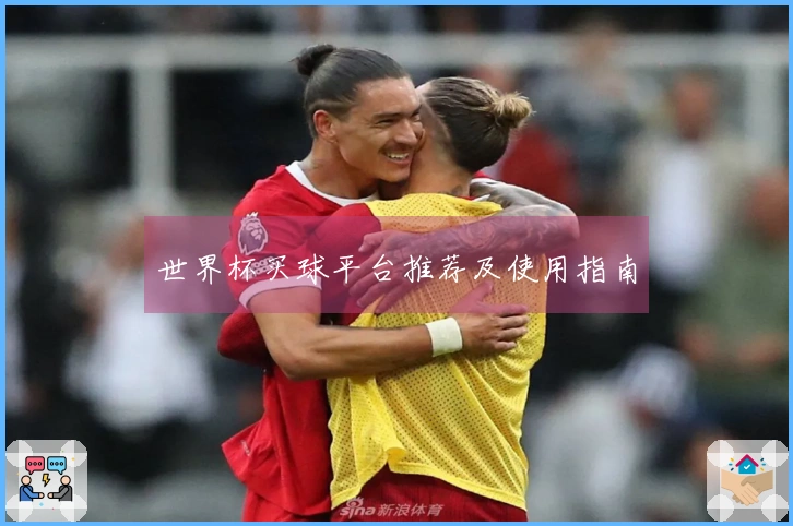 世界杯买球平台推荐及使用指南