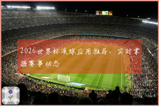 2026世界杯滚球应用推荐，实时掌握赛事动态