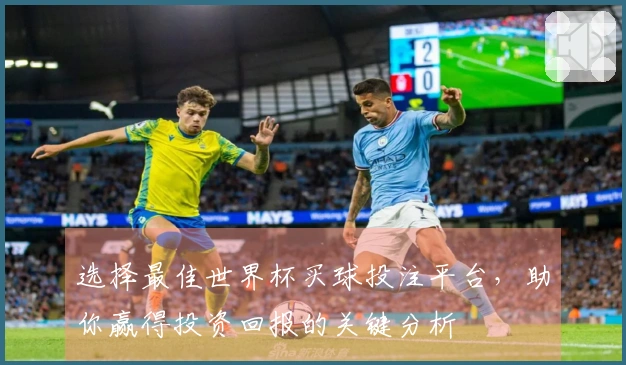 选择最佳世界杯买球投注平台，助你赢得投资回报的关键分析