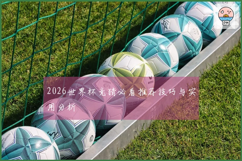 2026世界杯竞猜必看推荐技巧与实用分析