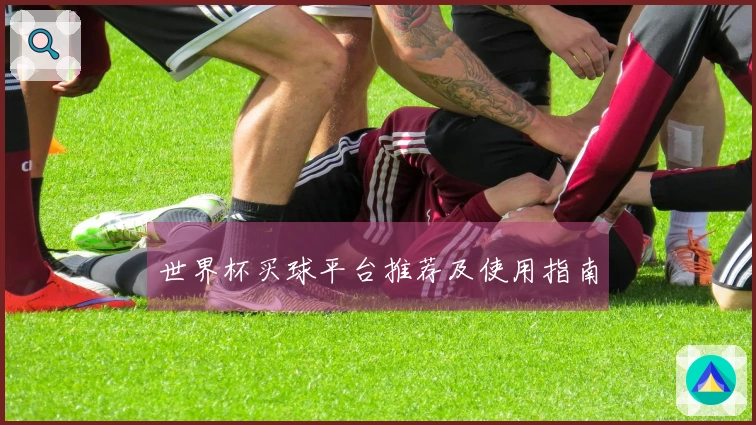 世界杯买球平台推荐及使用指南